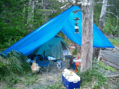 We set up our black bear hunting camp in a remote cove in Prince William Sound.  Tarps were used as rain flys for addtional protection.