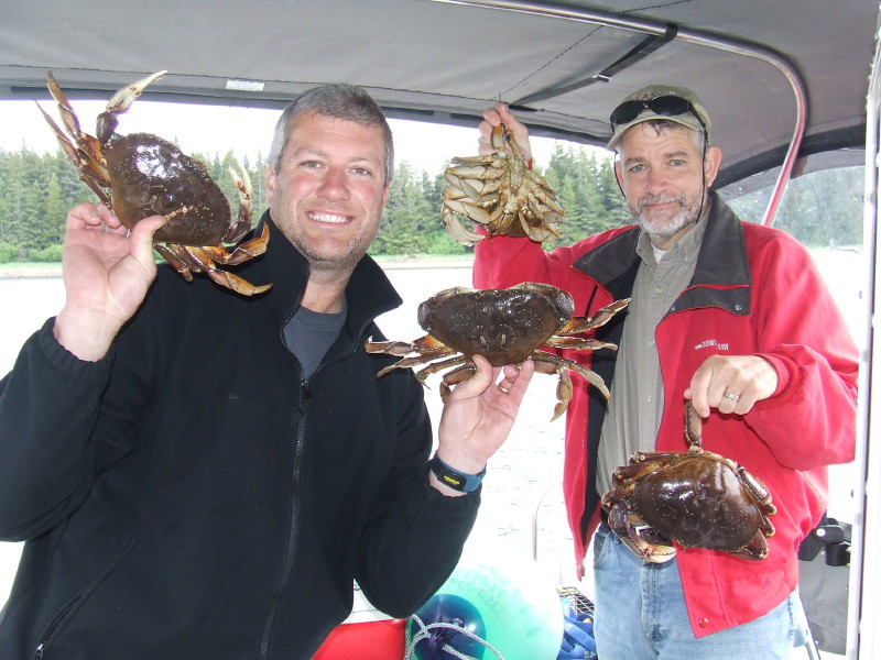 Dungeness Crab