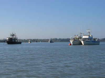 Boats anchored in the Kenai River.