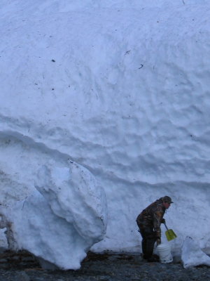 Harvesting snow from an avalanche