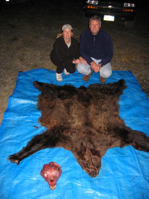 The Brown Bear hide layed out on a tarp.